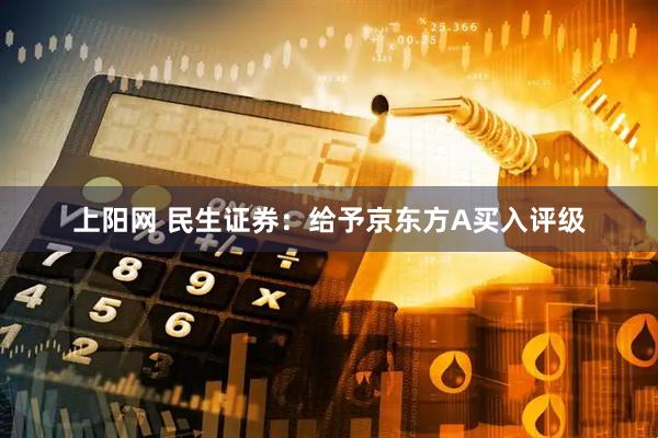 上阳网 民生证券：给予京东方A买入评级