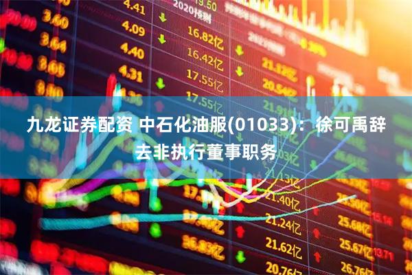 九龙证券配资 中石化油服(01033)：徐可禹辞去非执行董事职务